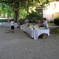 Vin d'honneur sous les platanes