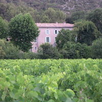 La bastide vue des vignes