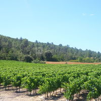 Domaine Sainte Octime