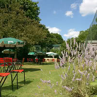 Jardin