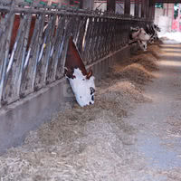 La Ferme Darras