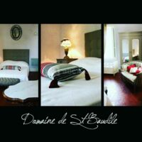 Domaine de Saint Baudile