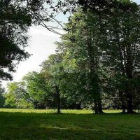 Parc