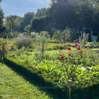 Potager