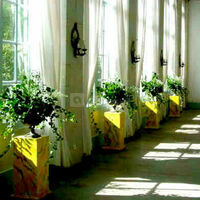 Orangerie du Manoir de Maulny