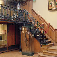 Musée d'Histoire de la Médecine