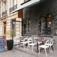 Le Zèbre Dans le Patio