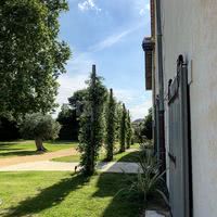 Salle de réception - Ancienne Bergerie