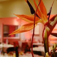 La Cantine