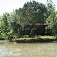 La cabane sur les étangs