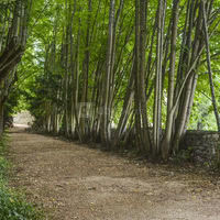 Domaine du Breuil de Doue