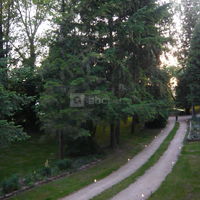 Une allée du parc