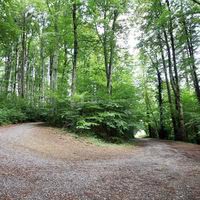 Le Château de Calmels