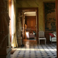 Les salons en enfilade