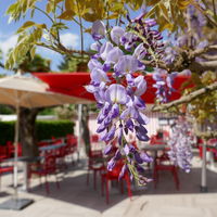 Les Maritonnes Parc & Vignoble