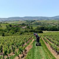 Les Maritonnes Parc & Vignoble