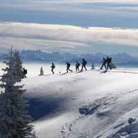 Randonnées raquettes