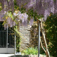 La Maison de Nicolas au Clos des Guibouleraies