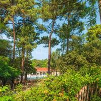 Parc arboré