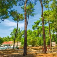 Parc