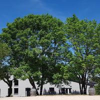 Domaine la Combe d'été