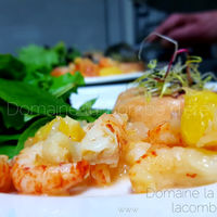 Domaine la Combe d'été