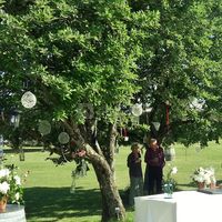 Domaine la Combe d'été