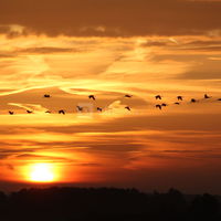 ... au crépuscule