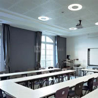 University Of London Institute In Paris