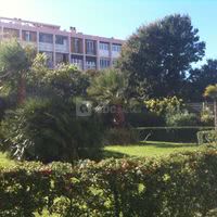 Le Plein Soleil