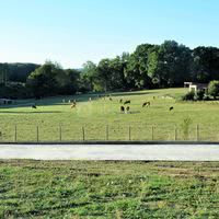 Terrain de petanque 15m x 5m