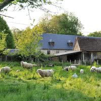 Green Camp d'Octavie