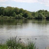 Green Camp d'Octavie