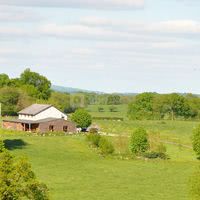 Green Camp d'Octavie