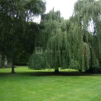 Château de Luzigneul