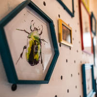 Le Pavillon des Canaux