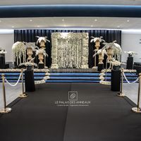 Le Palais des Anneaux