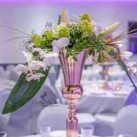 Le Palais des Anneaux