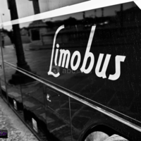 Party Bus