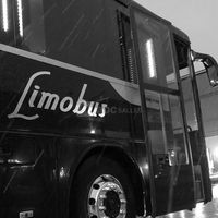 Party Bus