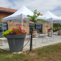 Domaine de Michelet - La Parenthèse de Bacchus