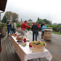 Domaine de Michelet - La Parenthèse de Bacchus