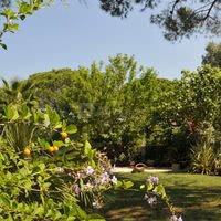 Le Jardin Zen pour votre Cérémonie, cocktail, Brunch, ...