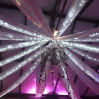 Plafond décoré dans la verrière