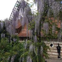 La Ferme des Templiers de Fléchinelle