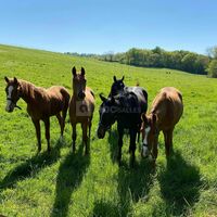 Salle de réception 47