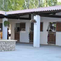 Domaine Hasta Luego