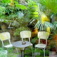 Jardin