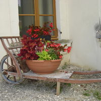Domaine Saint Georges
