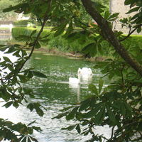 Domaine Saint Georges